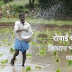 Paddy News